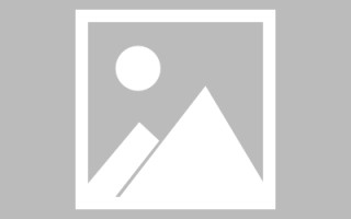 枣庄息县附近网页设计公司（息县附近网页设计公司有哪些）